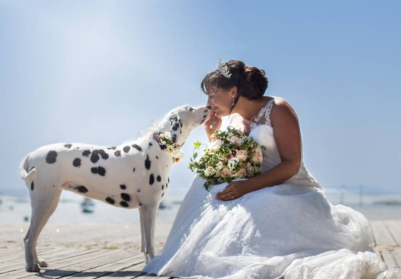 marié et chien 
