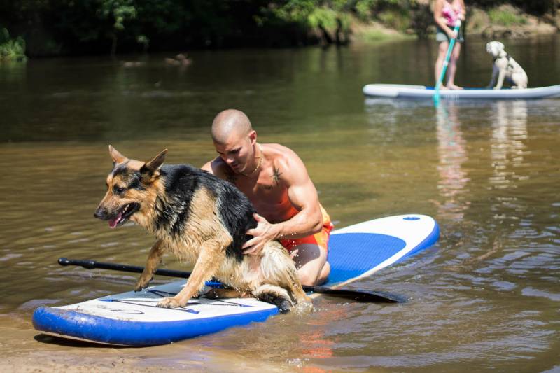 ou faire du paddle avec son chien sur le bassin d'Arcahon?